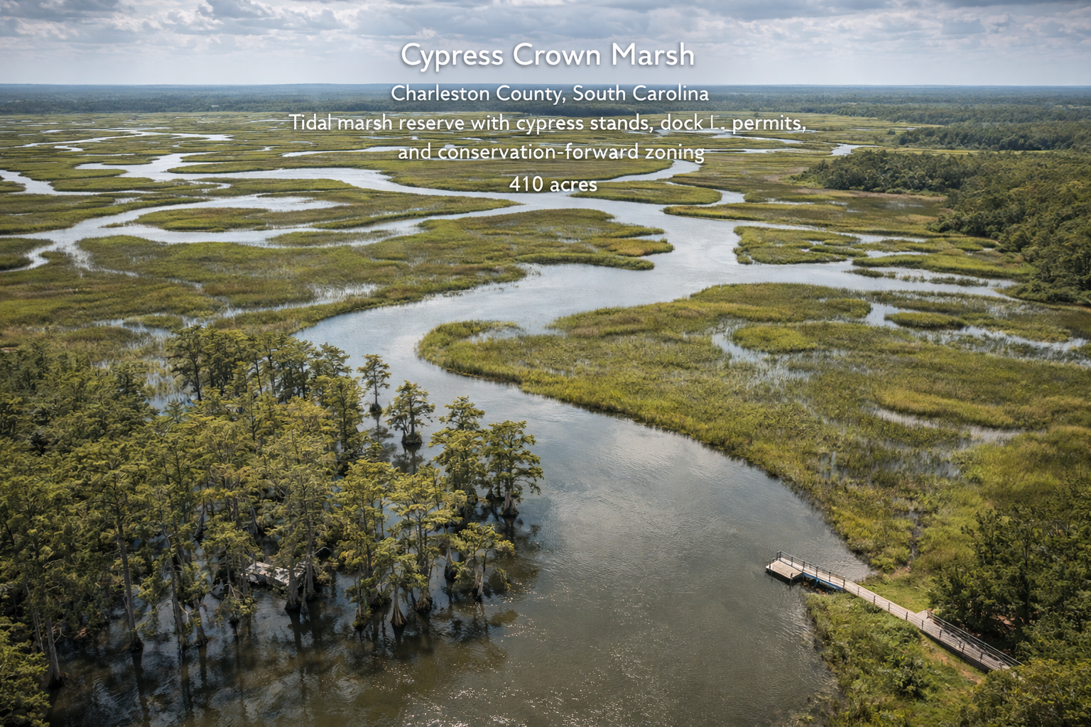Cypress Crown Marsh